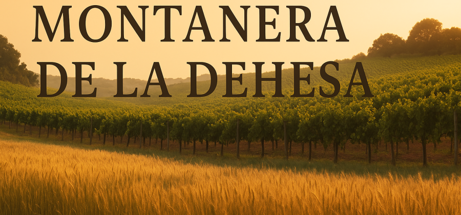 Montanera de la dehesa